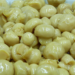 Funghi