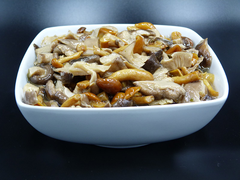 Funghi misto bosco