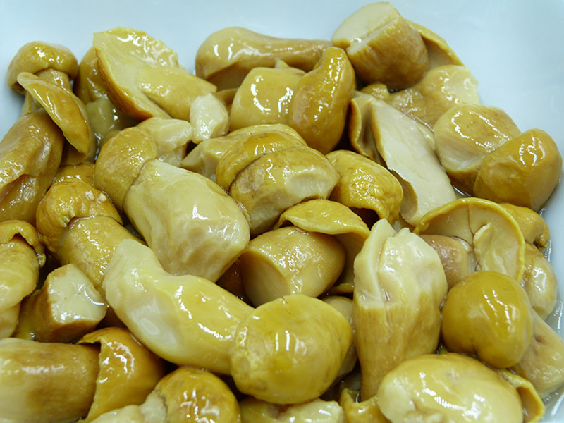 Funghi porcini Treviso